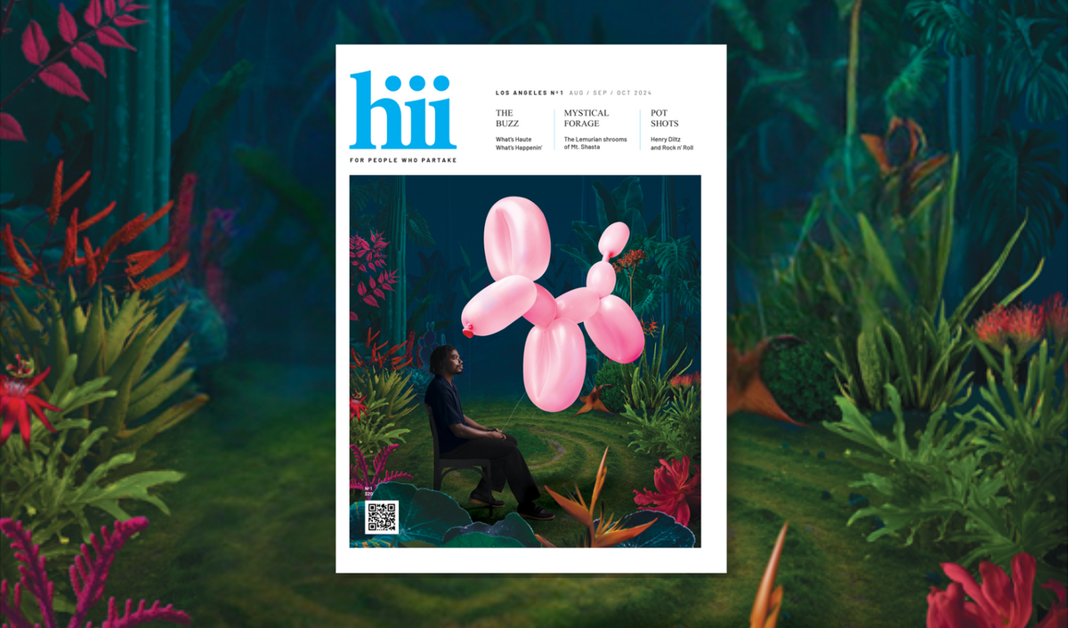Hiii Magazine cannabis culture print
