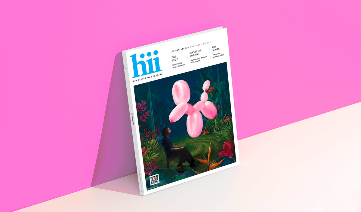 Hiii Magazine